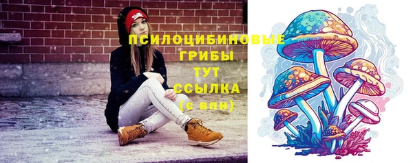 бутират Касимов