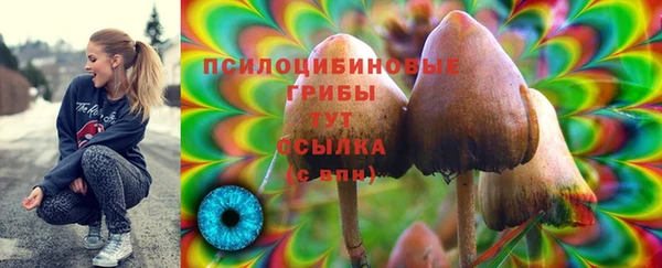 марки lsd Карпинск