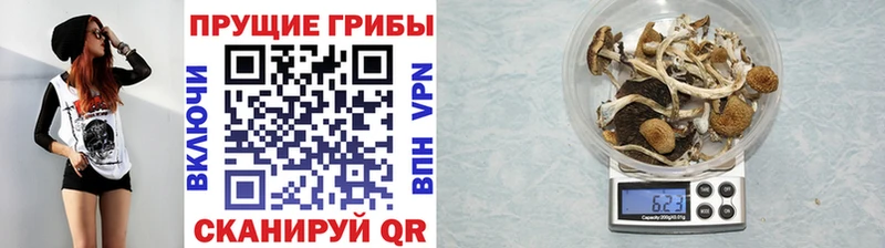 Галлюциногенные грибы ЛСД Купить закладки Новоульяновск