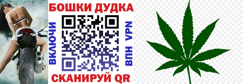 Конопля план Новоульяновск